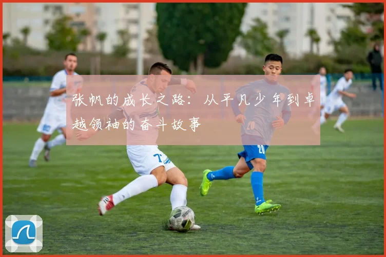 张帆的成长之路：从平凡少年到卓越领袖的奋斗故事