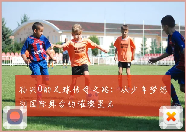 孙兴O的足球传奇之路：从少年梦想到国际舞台的璀璨星光