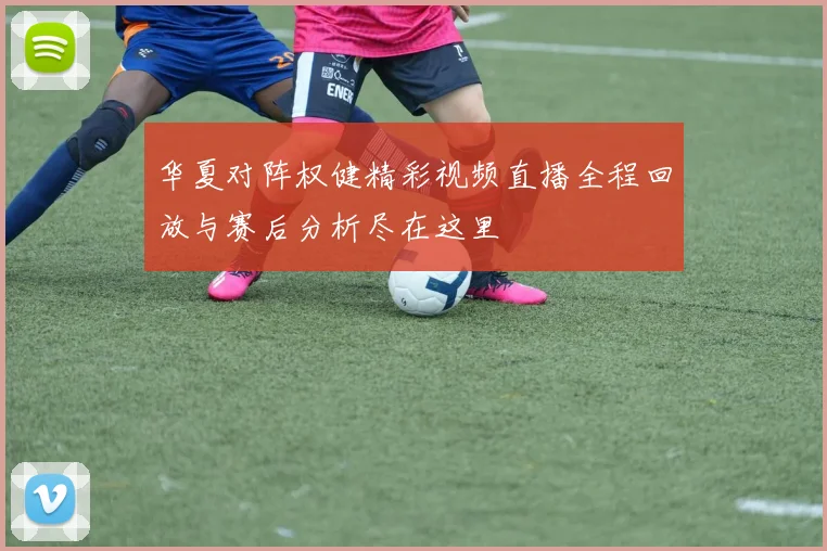 华夏对阵权健精彩视频直播全程回放与赛后分析尽在这里