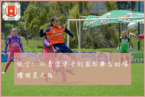 张宁：从青涩学子到国际舞台的璀璨明星之路