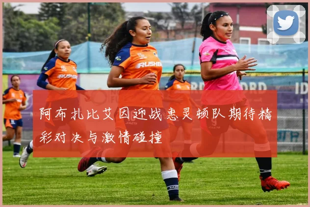 阿布扎比艾因迎战惠灵顿队期待精彩对决与激情碰撞