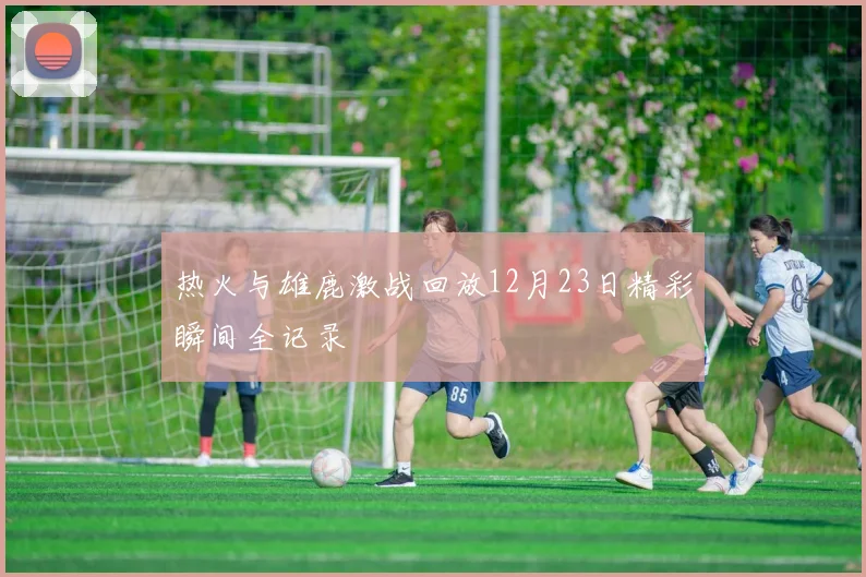 热火与雄鹿激战回放12月23日精彩瞬间全记录