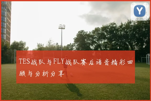 TES战队与FLY战队赛后语音精彩回顾与分析分享